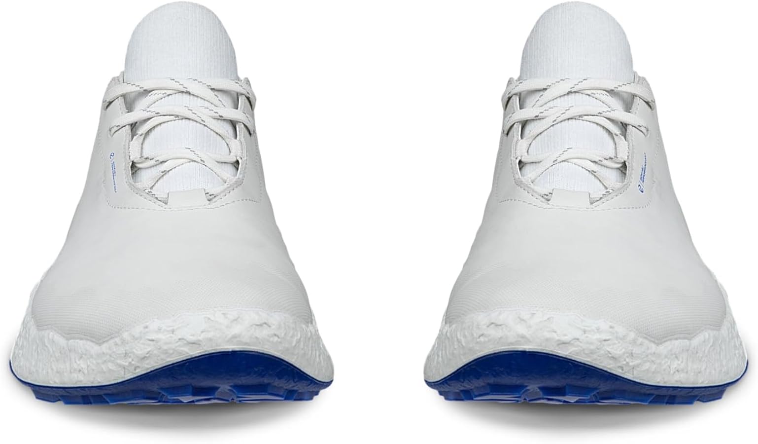 Amazon | [エコー] GOLF BIOM H5 本革 メンズ ウォーター